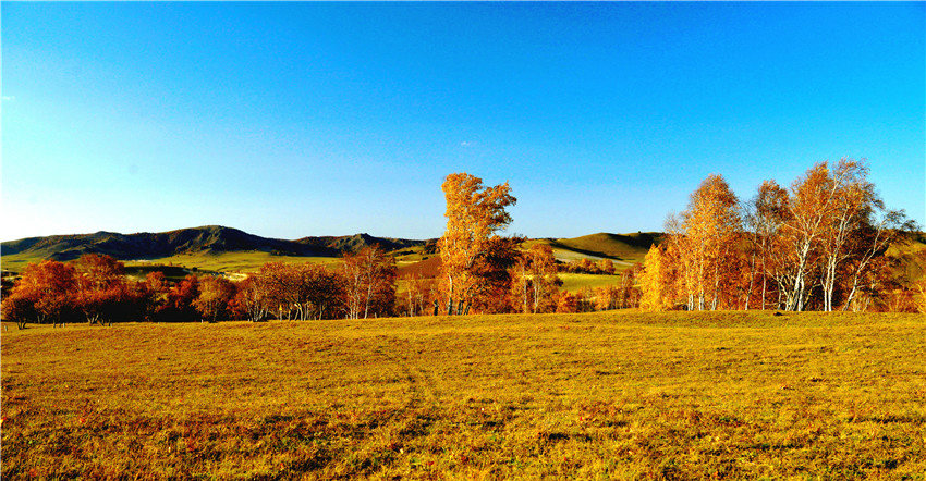 dsc_1474_1.jpg