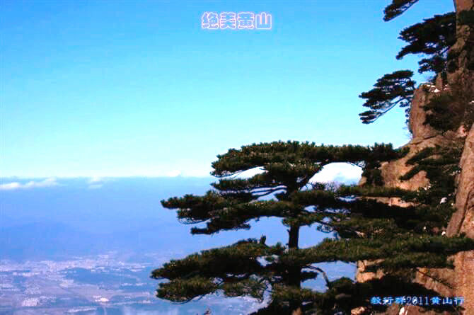 qqͼƬ20120101190941.jpg
