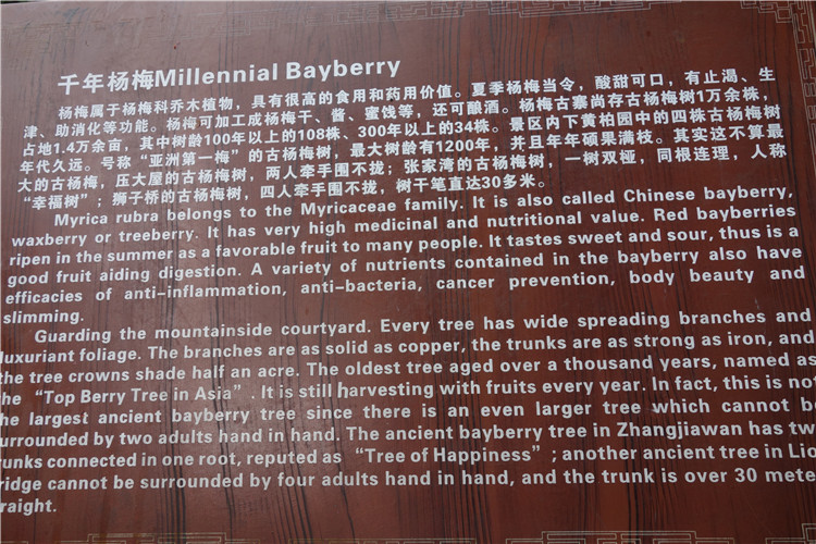 dsc01743.jpg