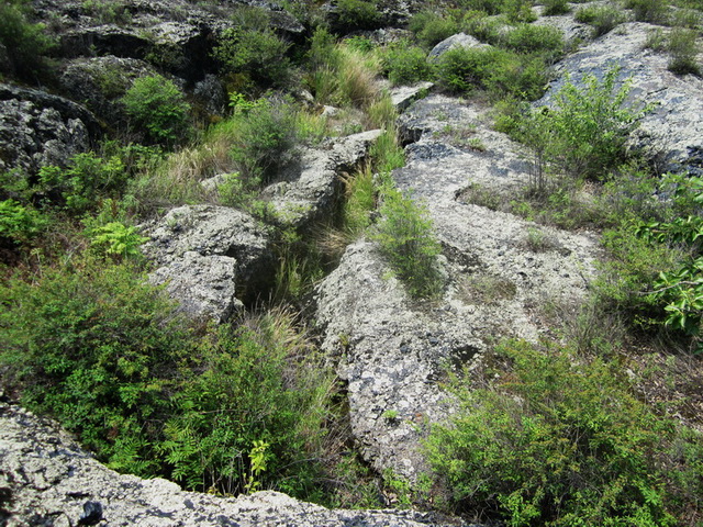 img_0068.jpg