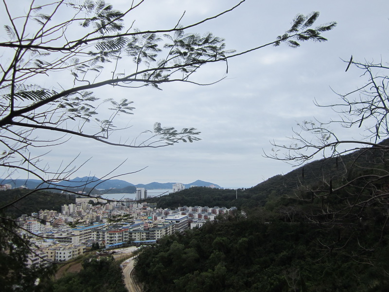 img_0083.jpg