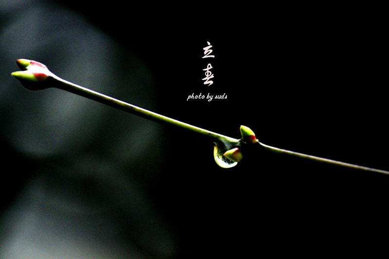 _MG_0563_副本.jpg