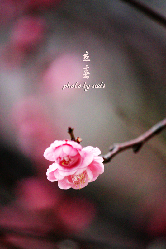 _MG_0570_副本.jpg