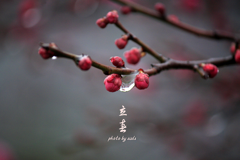 _MG_0574_副本.jpg