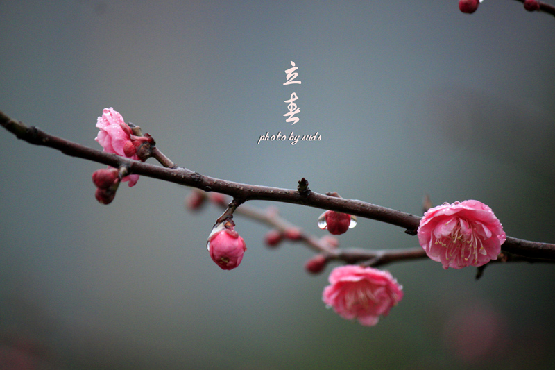 _MG_0575_副本.jpg