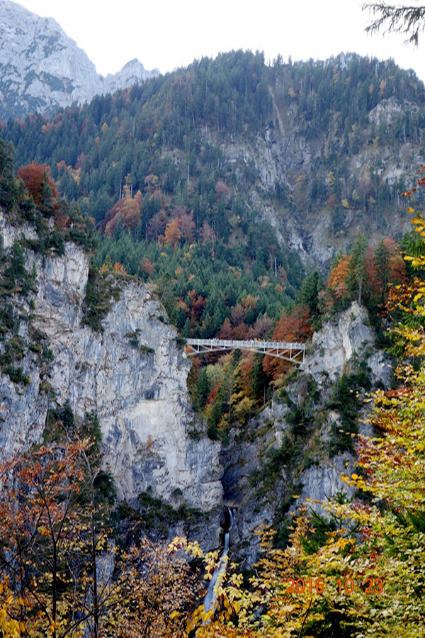 186.JPG