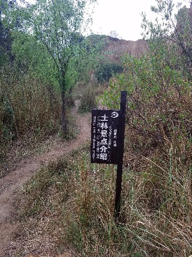 20170327_154453.jpg