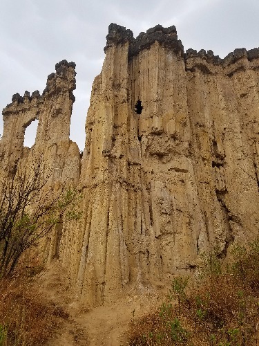 20170327_154442.jpg