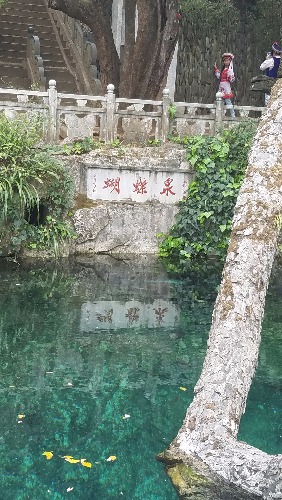 20170329_160818.jpg