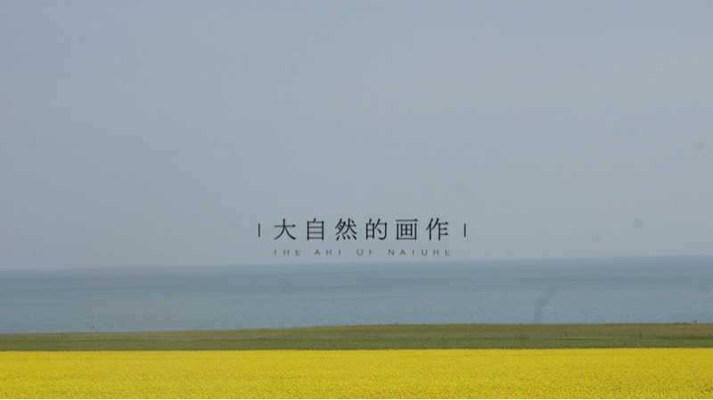 190142c6blb2lxd3denrxh.jpg