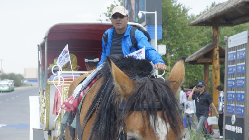 190521qtv6t5gssspcj755.jpg