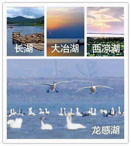 微信图片_20170725175050.jpg