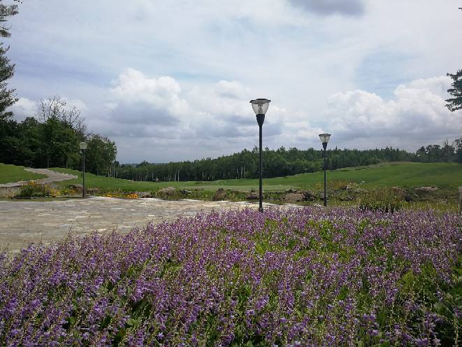 230049yl950x30ncfuf44n.jpg