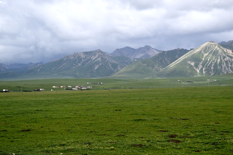 _DSC0533.JPG