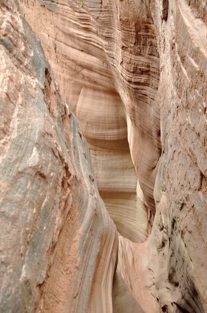 DSC_0316.JPG