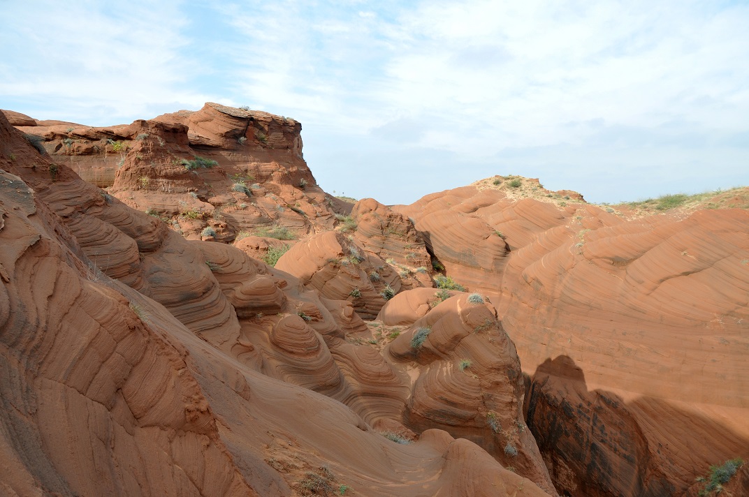 DSC_0327.JPG