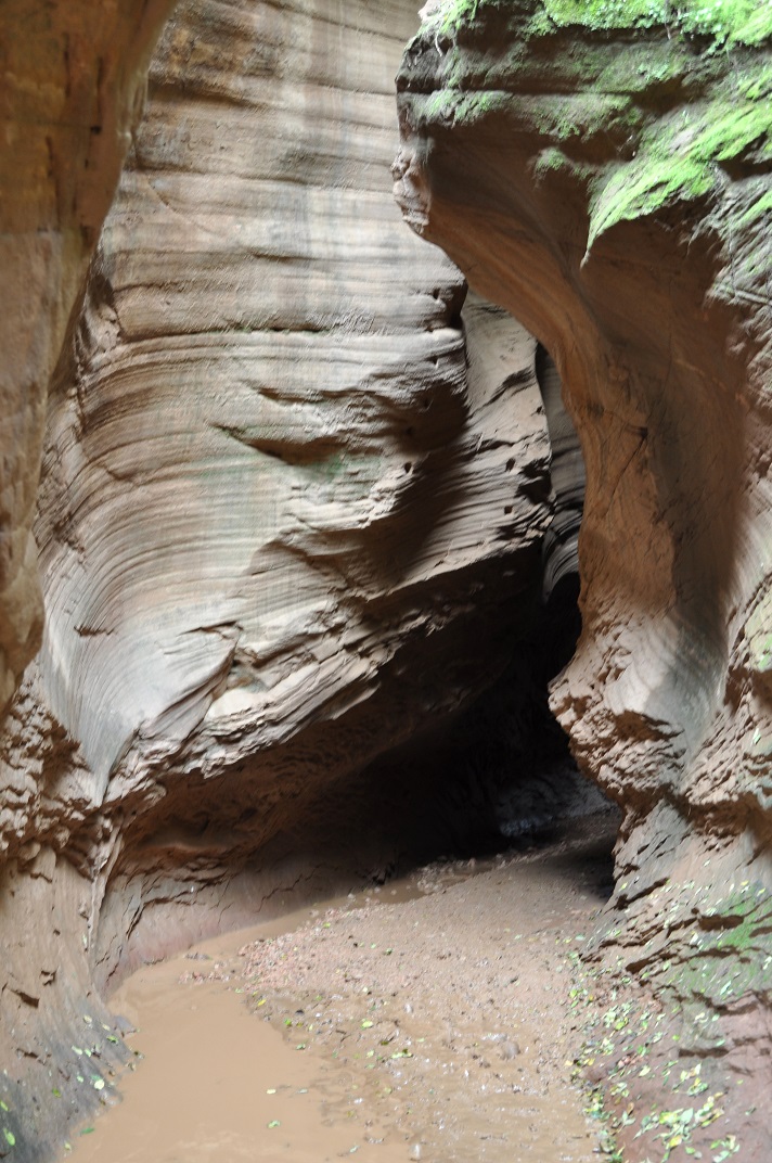 DSC_0338.JPG