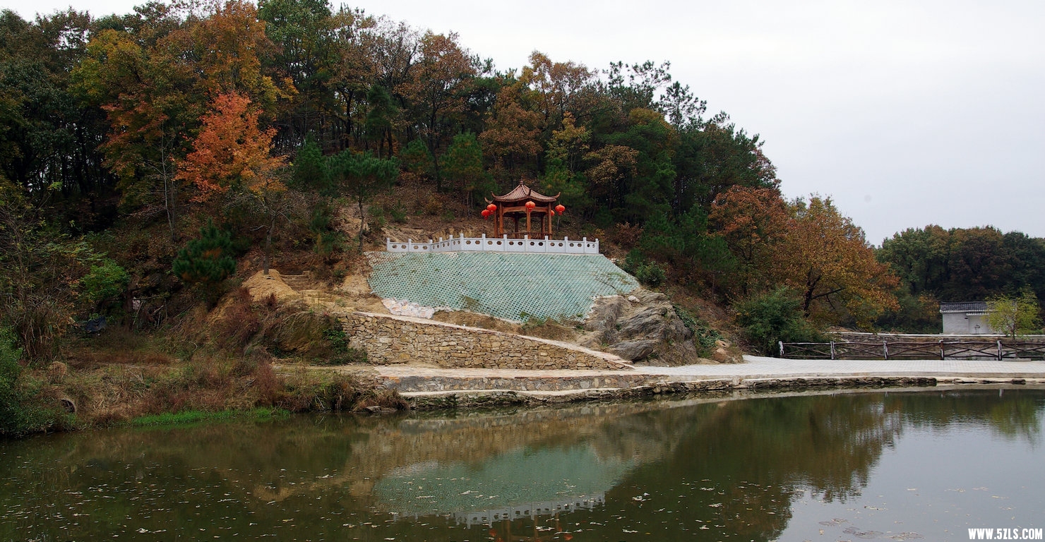 IMGP7942.jpg