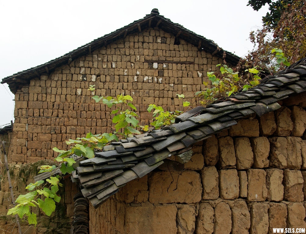 IMGP7960.jpg