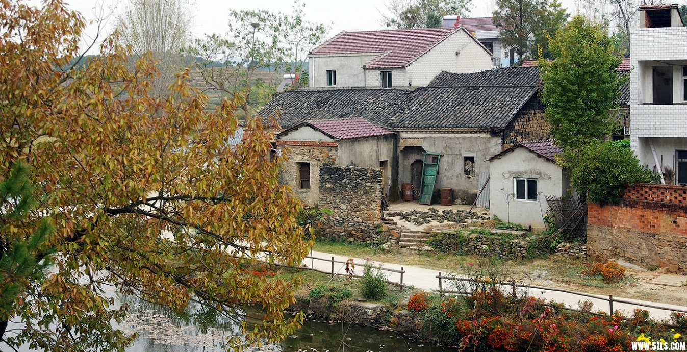 IMGP7964.jpg