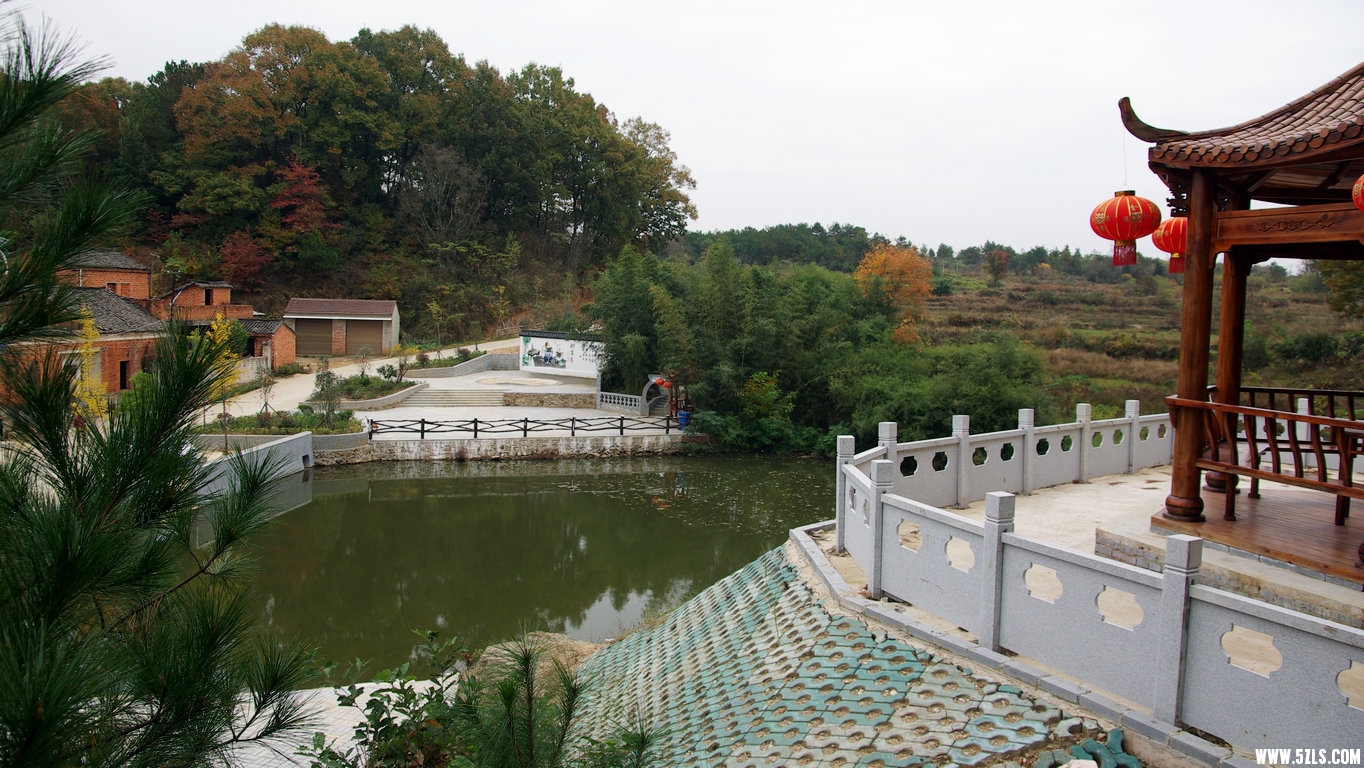 IMGP7965.jpg