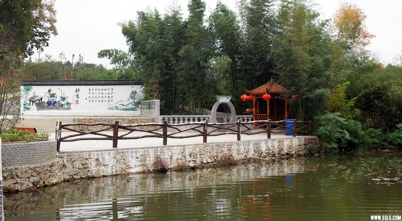 IMGP7966.jpg