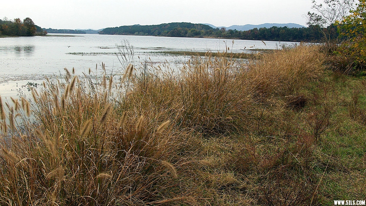 IMGP7991.jpg
