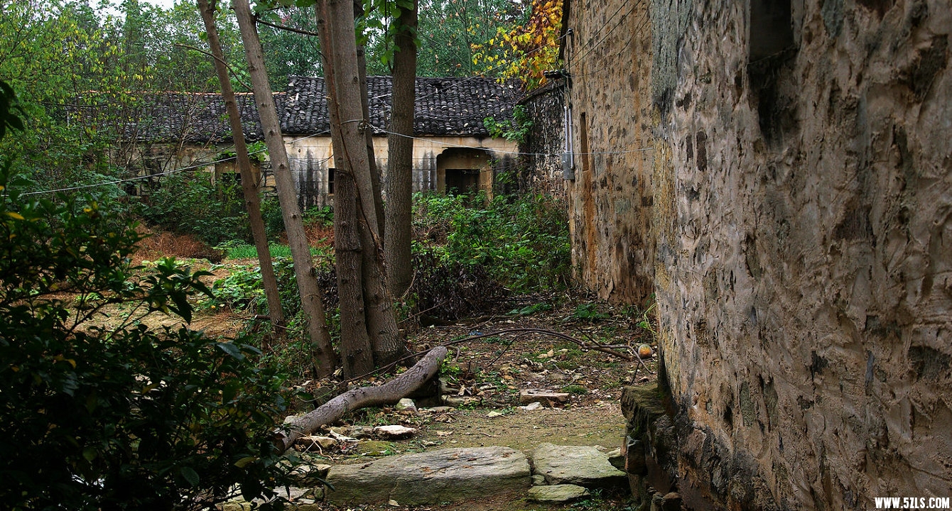 IMGP8041.jpg