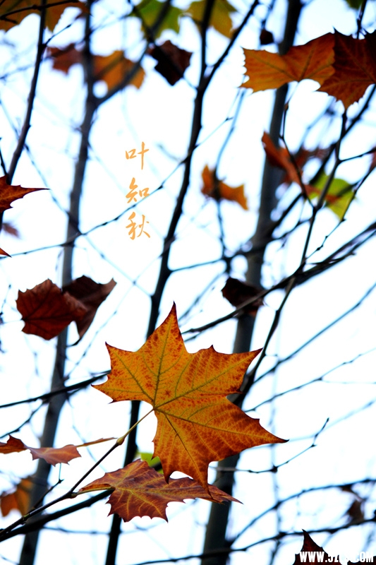 _MG_0970_副本.jpg