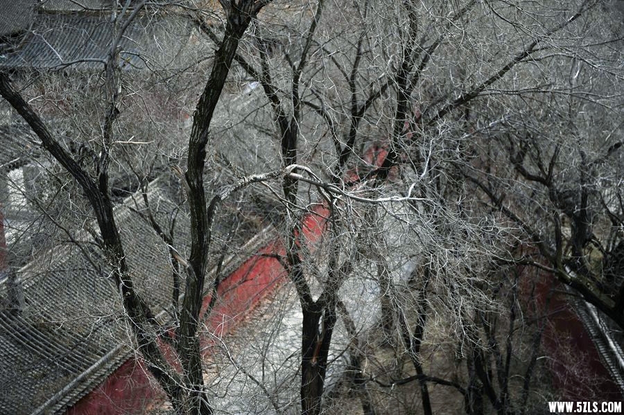 _DSC2213__.jpg