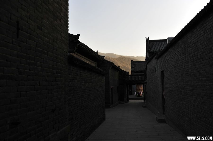 _DSC1816__.jpg