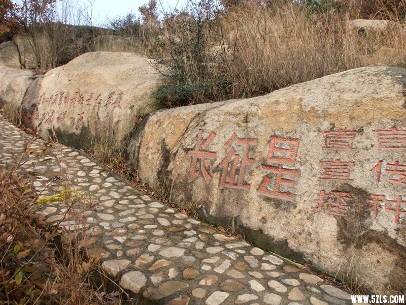 DSCF3174.JPG