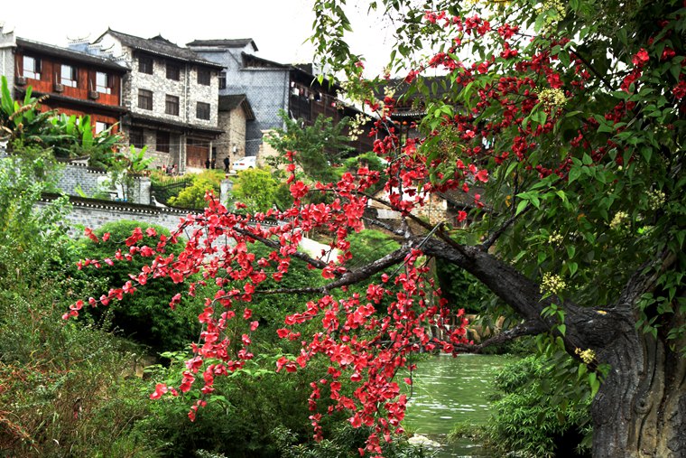 img_2821_副本.jpg