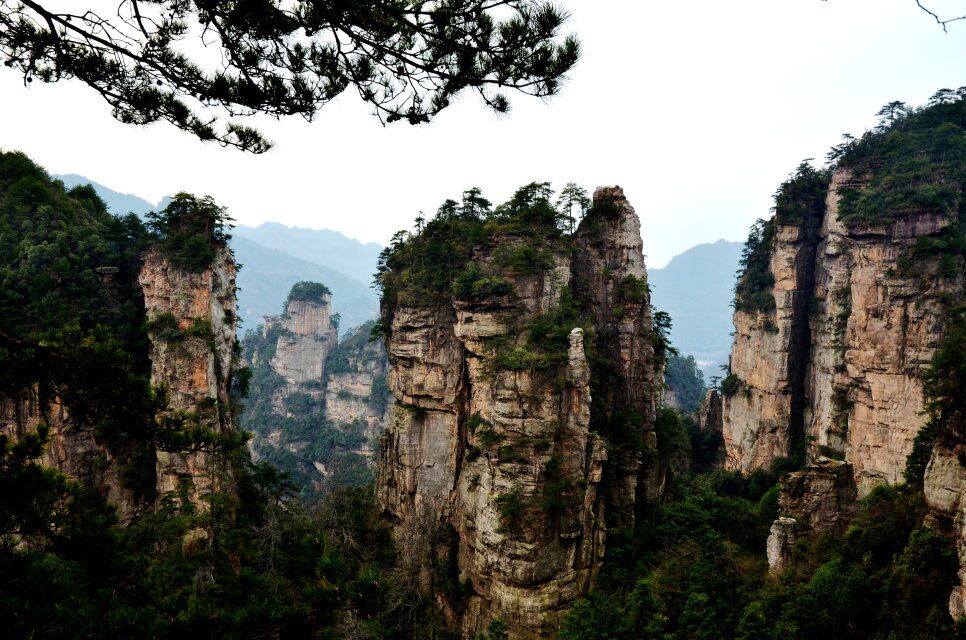 qq图片20180322160430.jpg
