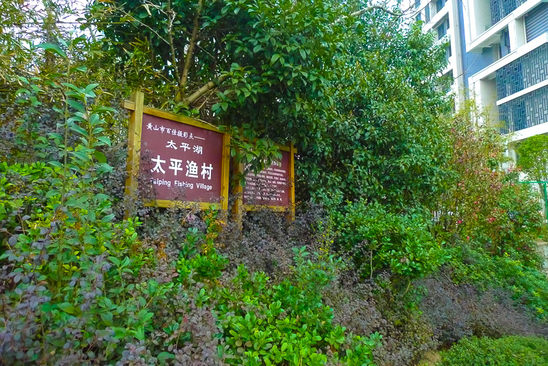 郭村卢村碧阳村-16.jpg
