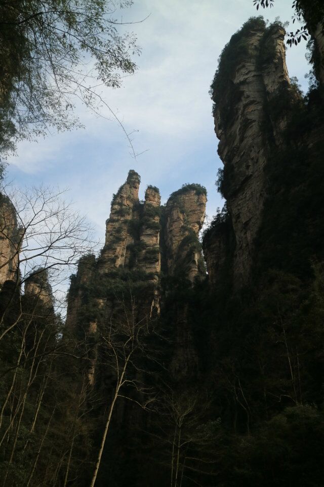 qqͼƬ20180325195210.jpg