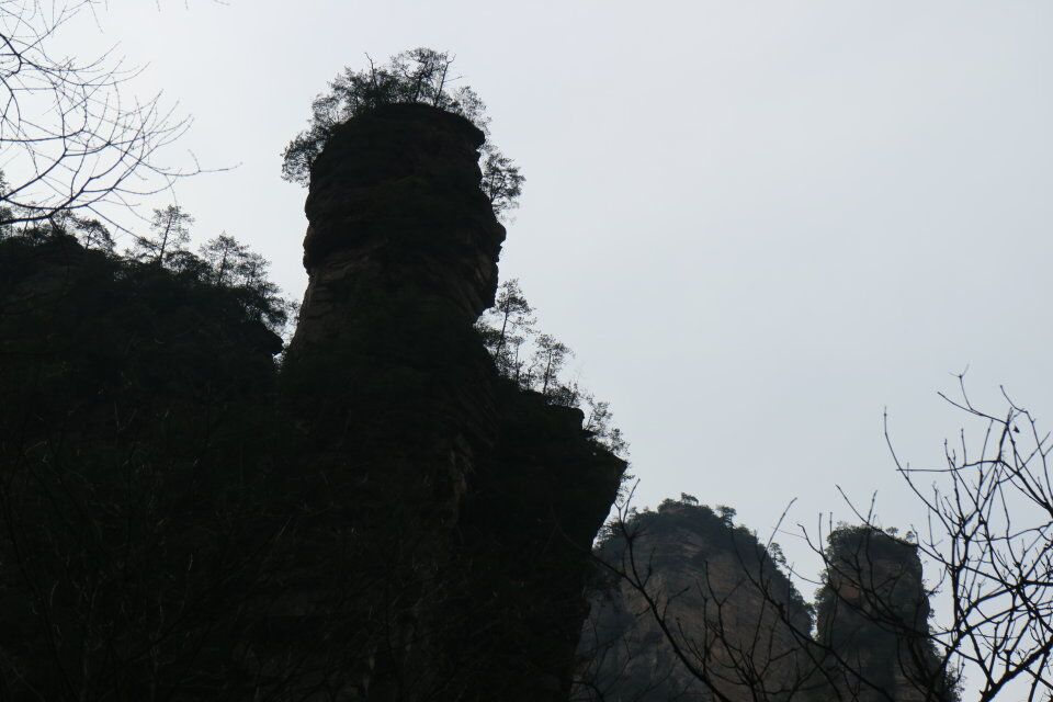 qq图片20180325195242.jpg
