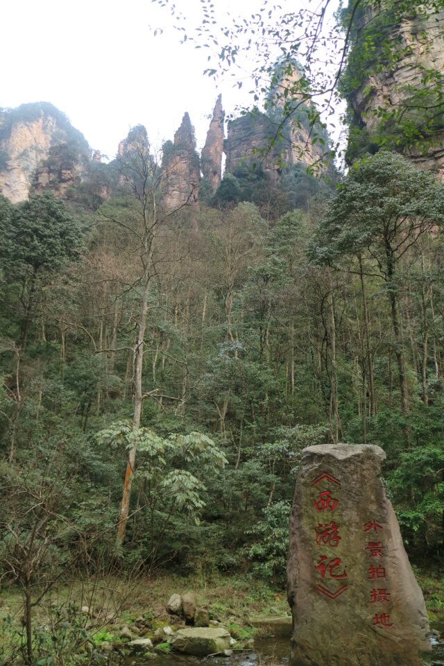 qq图片20180325195301.jpg