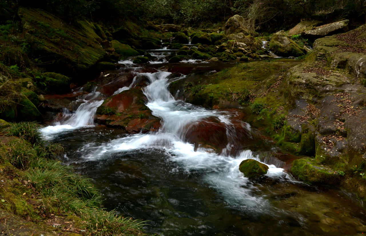 dsc_1779.jpg