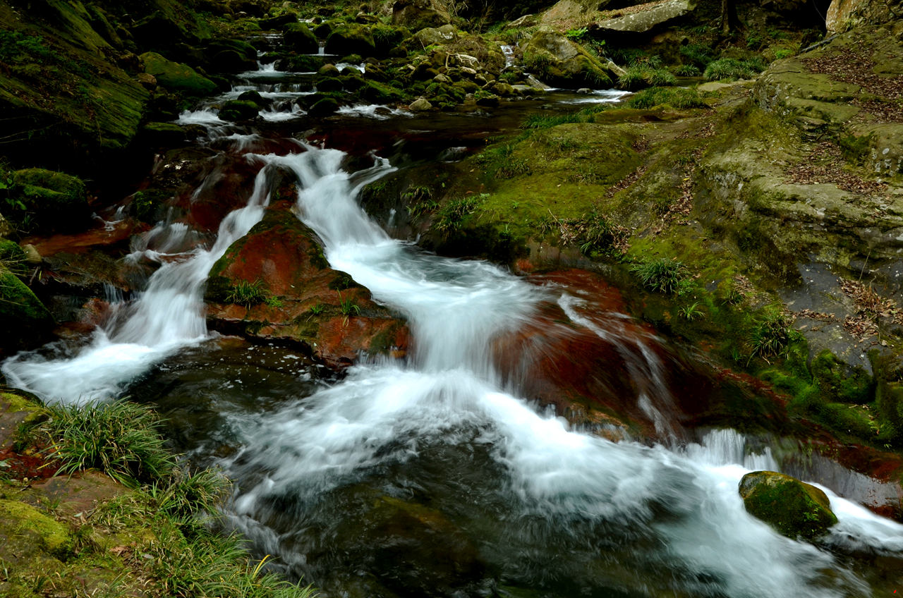 dsc_1781.jpg