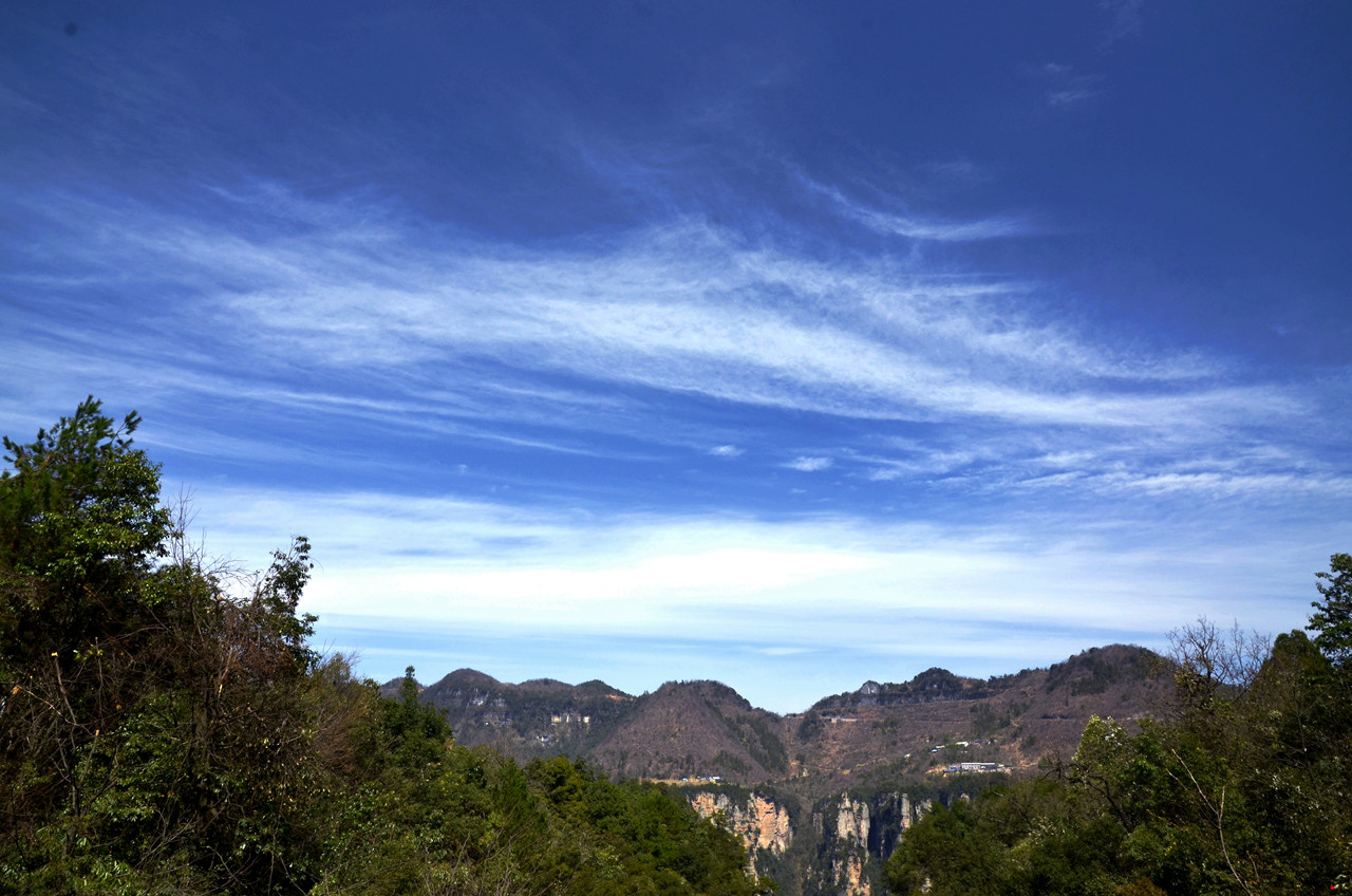 dsc_1629.jpg