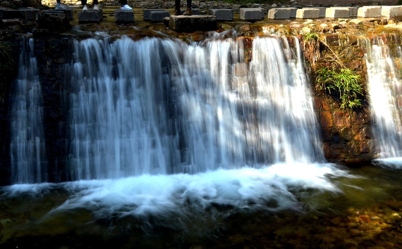 dsc_1681.jpg