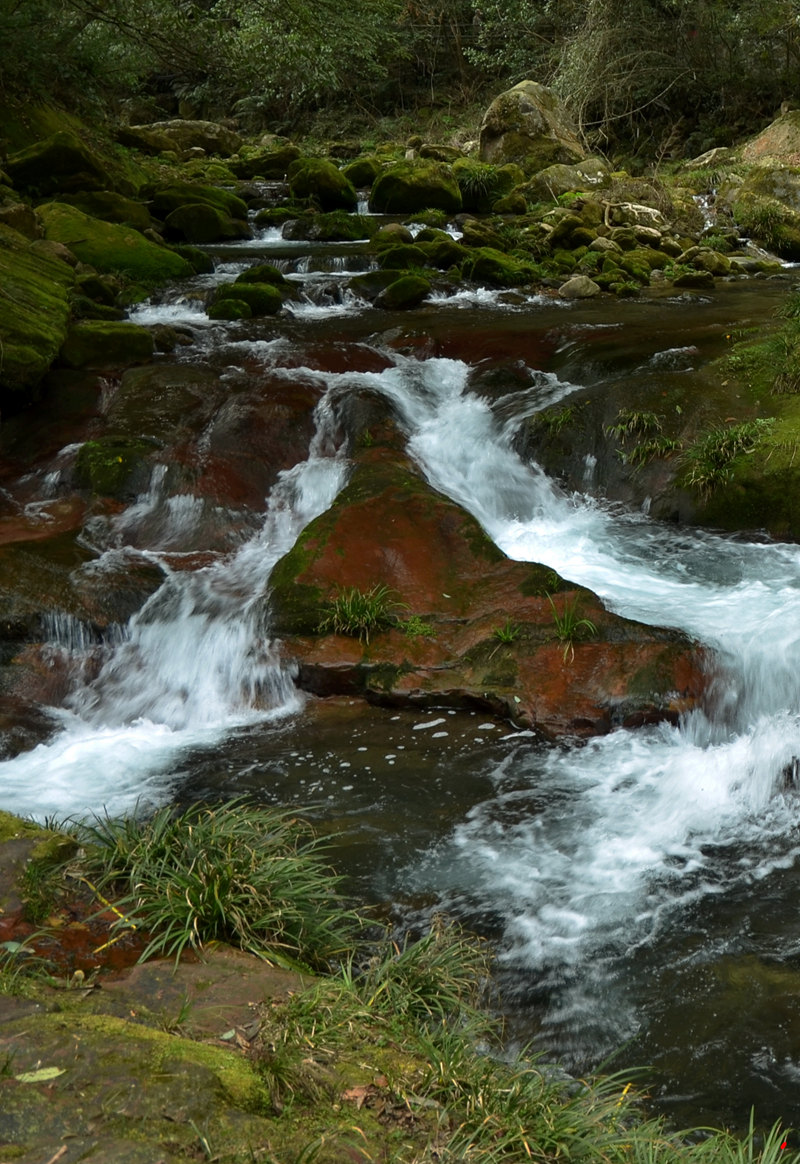 dsc_1784.jpg