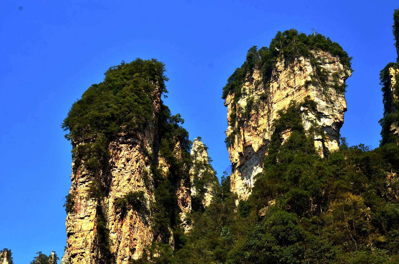 dsc_1660.jpg