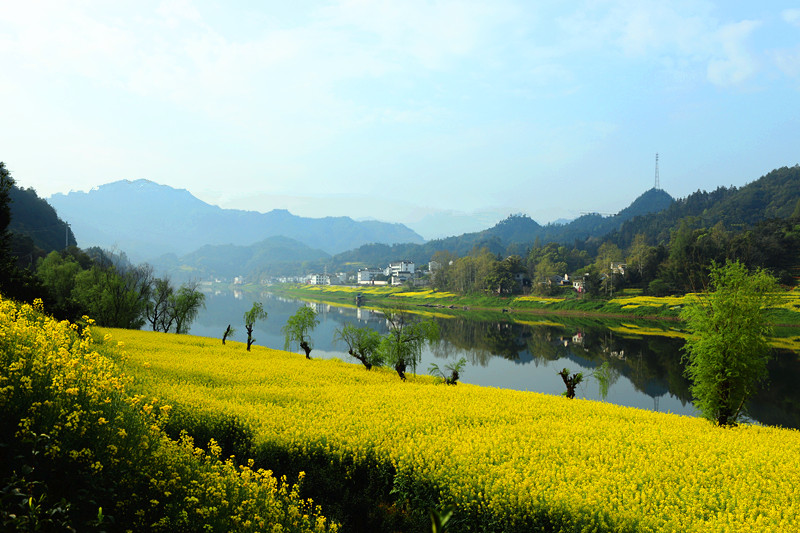 img_2305_副本1.jpg