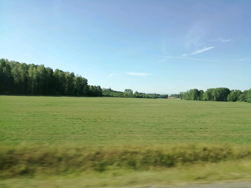 d408af70900843629c80787e4b804bd8_.jpg