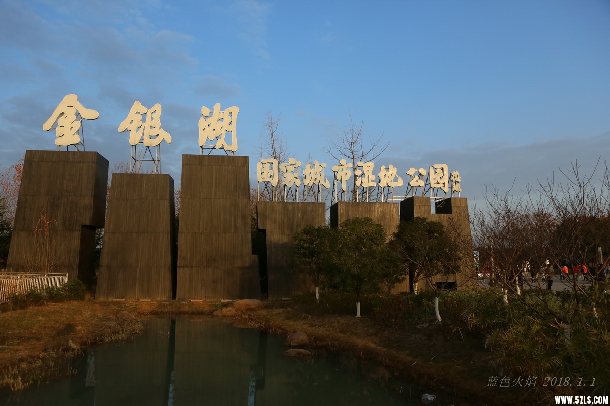 IMG_9390.JPG