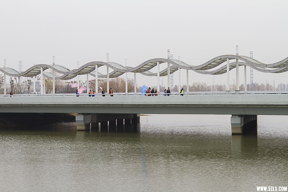 _MG_6209.JPG