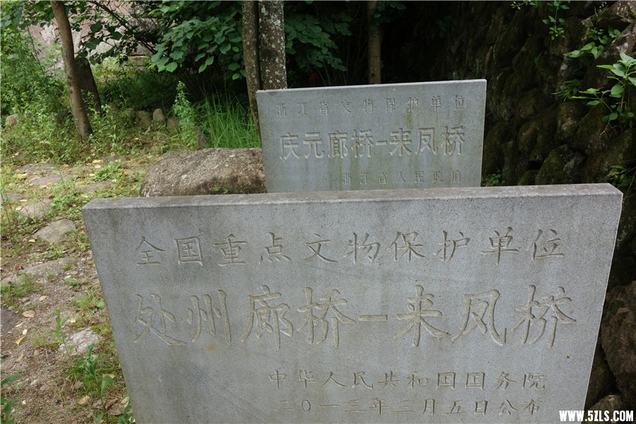 DSC01167.jpg