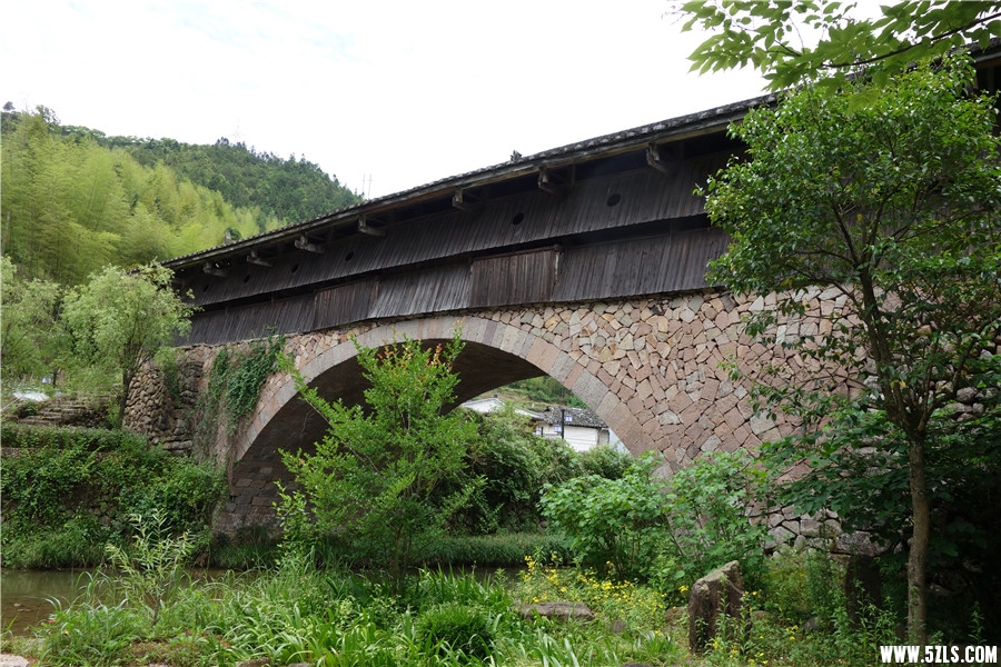 DSC01168.jpg